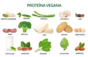 plant based fontes de proteina